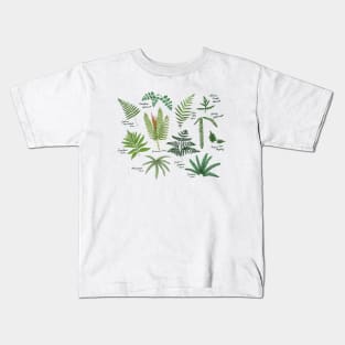 Fresh Adirondack Ferns (Light) Kids T-Shirt